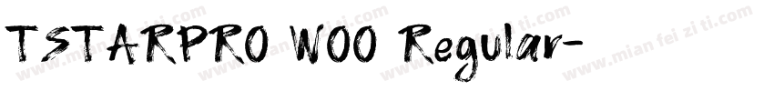 TSTARPRO WOO Regular字体转换